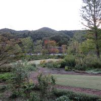 部屋からの眺め　庭園