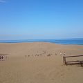 鳥取砂丘