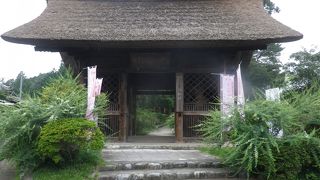 お花を見ながら散策