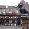 イギリス版ハチ公