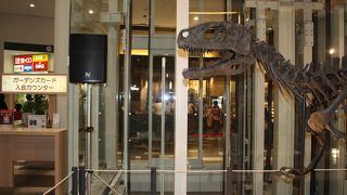 福井から恐竜がやってきた