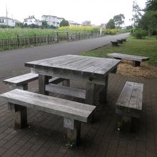 休憩用ベンチが各所にあります