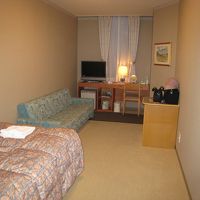 寝るのにも十分なソファ