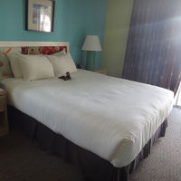 プールビューの清潔なお部屋