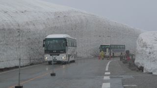 これほど雪深いとは