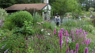 ドラマ・風のガーデンのロケ地