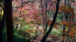 嵐山渓谷の紅葉