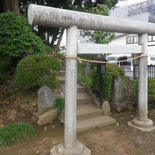 小高い山があります