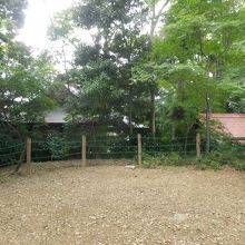 高台です、眺めは良くないです