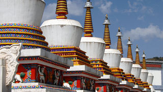 チベット佛教の聖地・塔爾寺(タール寺)