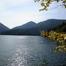 透明で風がないときはそのままくっきりと風景が写ります