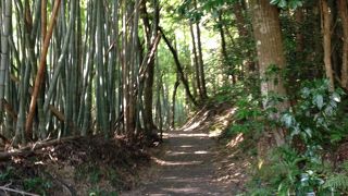 歴史の散歩道