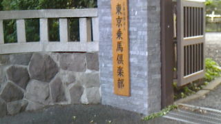 セレブな乗馬倶楽部がおとなりです。