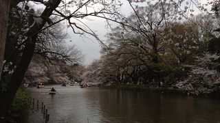 都会の中のオアシス的存在