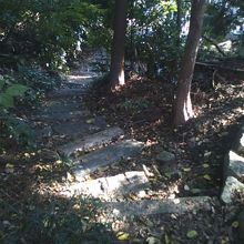 地図の場所に足を運ぶと、こんな山道に迷い込んでしまいました