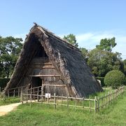 縄文時代の貝塚や当時の住居生活がタダで見れる