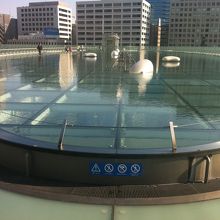 上から見た感じ。この水の中には入れません。