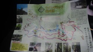 80分コースを歩く