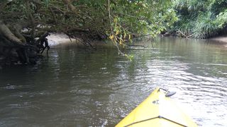 カヌーとトレッキングと行く