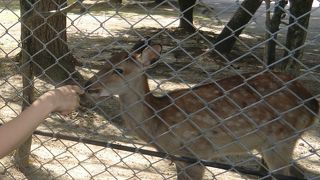 とても広くのんびり出来ます。