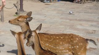 場所により違う