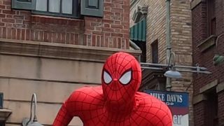 画像がとてもきれい！