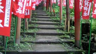 赤い鳥居と旗が続く