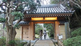報国寺の竹林は一見の価値有り