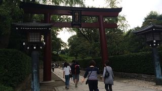 朱塗りの鳥居が神秘的。