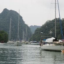 ジャングルを抜けるとそこには沢山のクルージング船が！