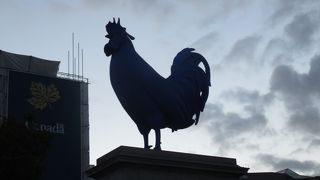 ニワトリはいったいなぜあるのか。