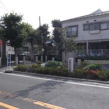 公園をメインにしてしまいました。