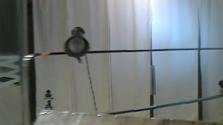 四谷でちょっとおさかなを。