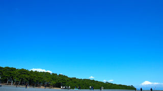 オジャマムシが残念