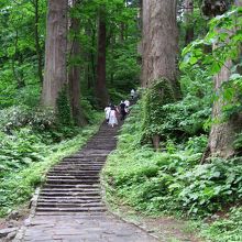 またまた石段、もうちょっと