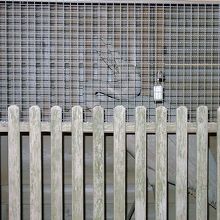 仁王門の中の鶴の像