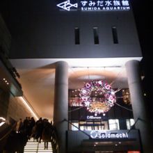 写真はクリスマスシーズンの時です