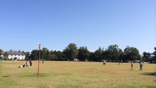 のんびりできます