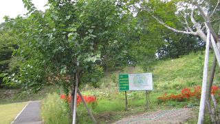 建物裏手の庭園がくつろぎのスペースになっています。