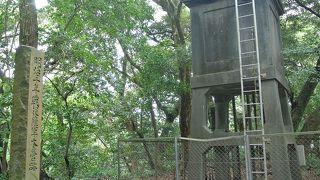 城山公園、展望台と一緒に行けます