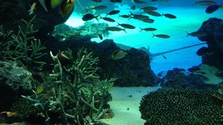 子連れで行きました