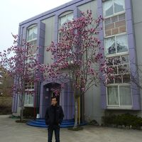 静寂で朝の散歩には最高！