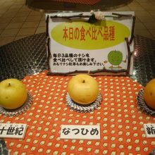 この日の試食梨の品種３つ