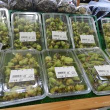 生まれて初めて見たマタタビの実