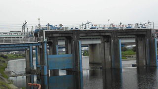 多摩川の堰