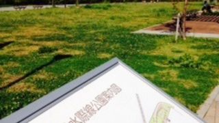 帷子川河口付近の公園