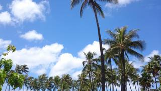 ブランチ頂きま～す♪