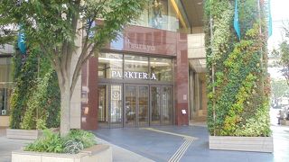 とても大きいです