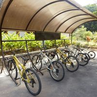 レンタサイクル