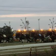 面白いです！！